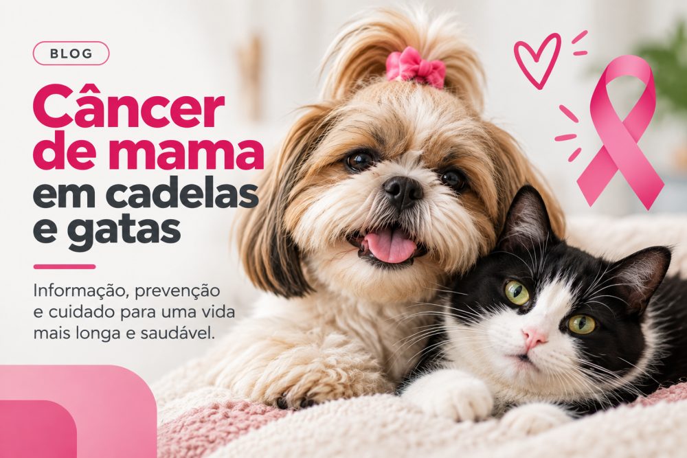 Caroço na Mama da Cadela ou da Gata: Pode Ser Câncer?