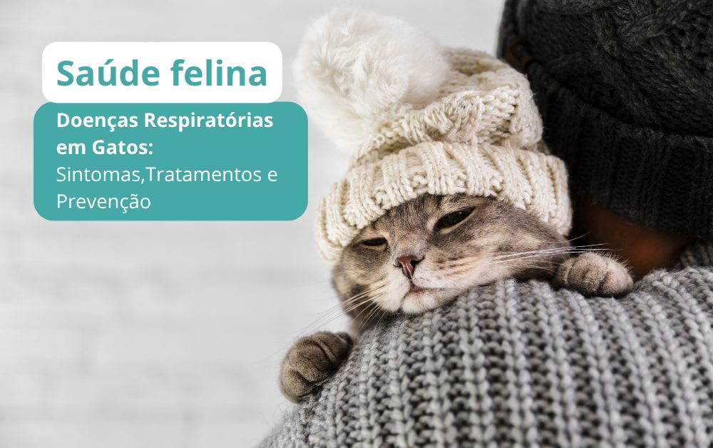 Rinotraqueíte Felina: Entenda os riscos e como proteger seu gato