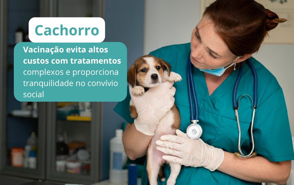 Você sabe quais vacinas seu cão precisa?